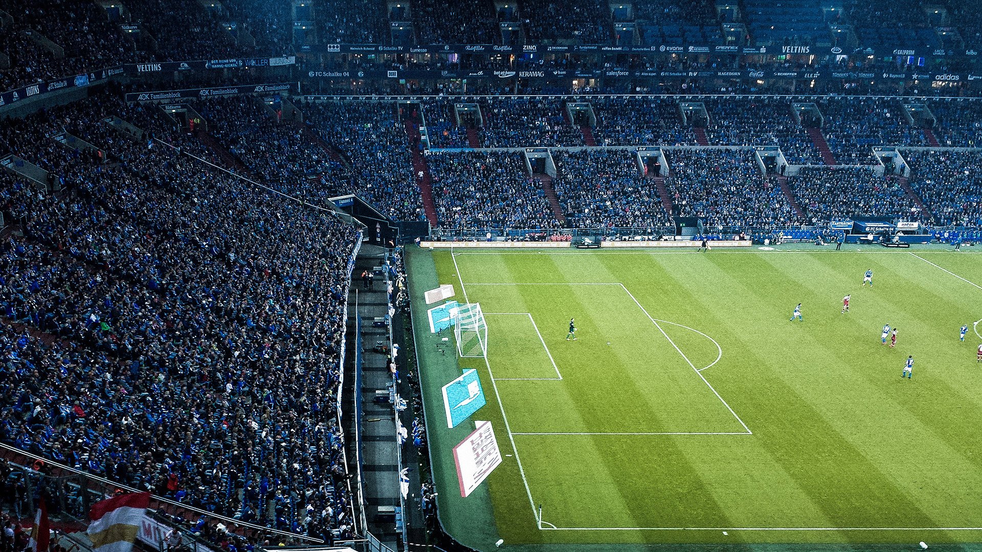 开云品牌-伊朗马术协会建立马匹基因数据库，促进马匹选育与训练。，伊朗马球